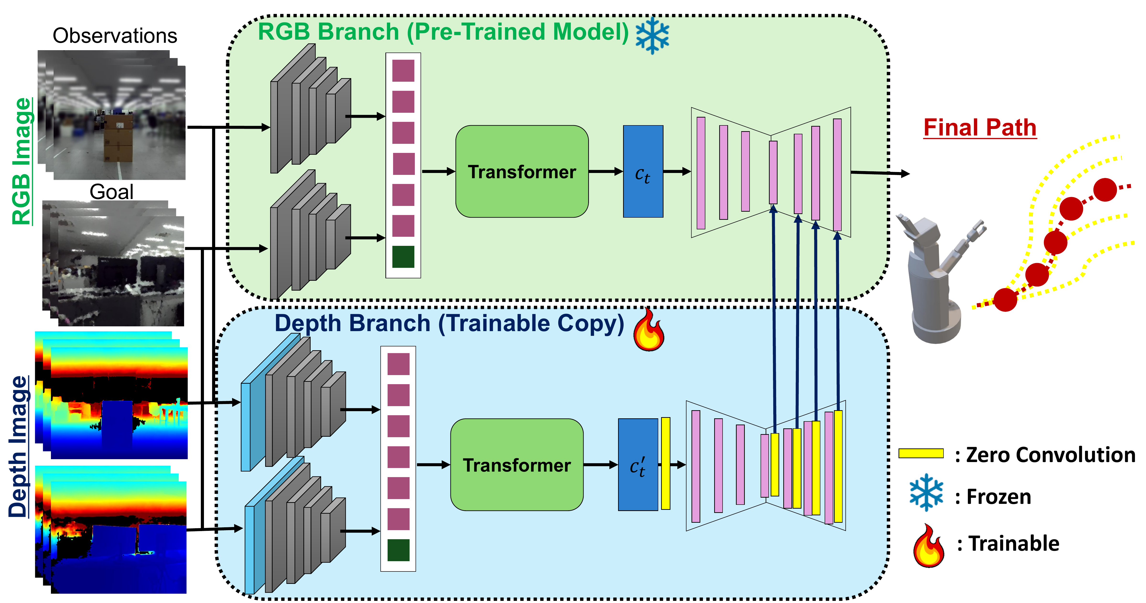 D-CLING model architecture